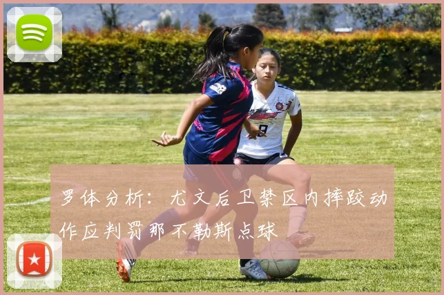 罗体分析：尤文后卫禁区内摔跤动作应判罚那不勒斯点球