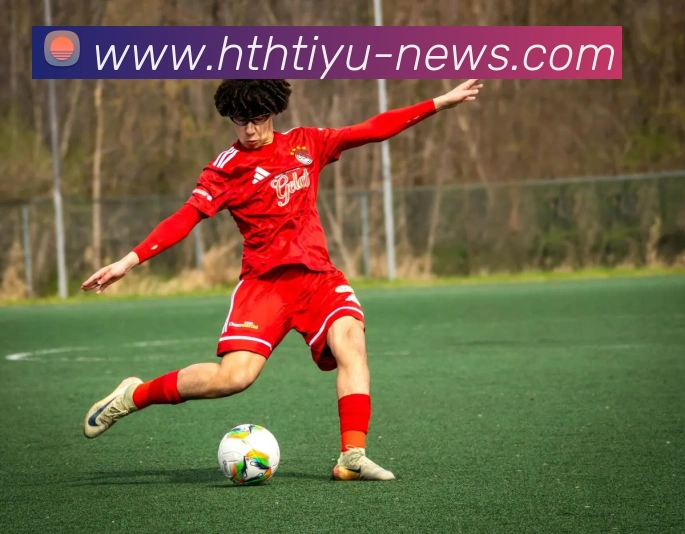 华体会体育平台生态图