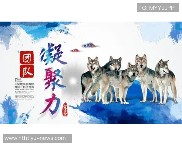 斯波教练团队凝聚力强如磐石兄弟情谊深厚无可动摇